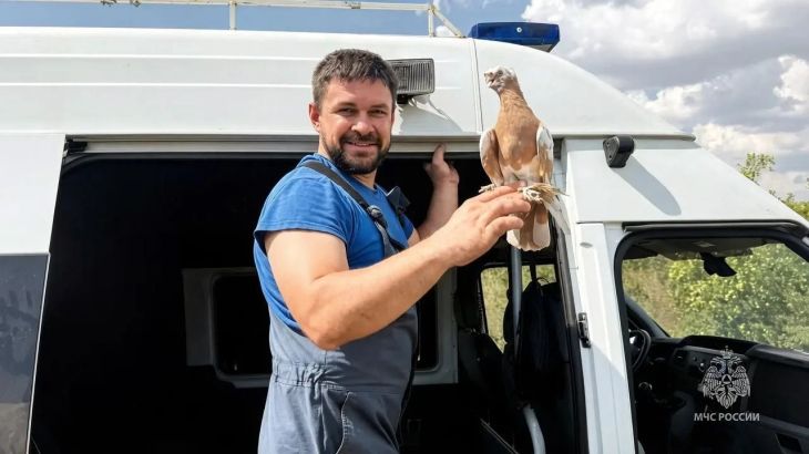 В Крыму спасли голубку во время тушения природного пожара 