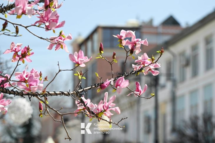 Неожиданный поворот: каким будет конец апреля в Крыму 