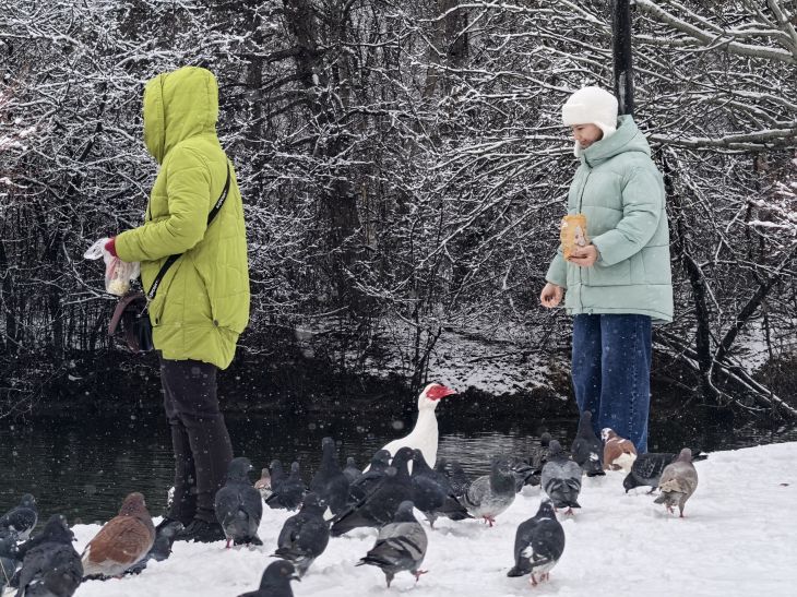 Отделение СФР по Республике Крым проиндексировало с 1 февраля социальные и страховые выплаты на 5,6%