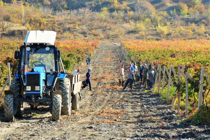 С 2014 года в агропромышленный комплекс Крыма вложили 54 млрд рублей