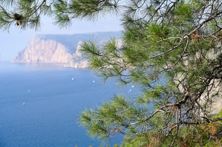 Сухая и теплая погода продержится в Крыму до конца недели