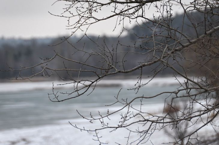 Крымские аграрии особо рады интенсивному дождю и снегу